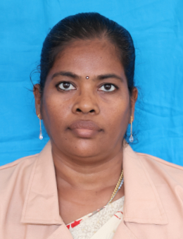 John Britto School PG Teachers