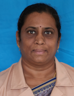 John Britto School SG Teachers